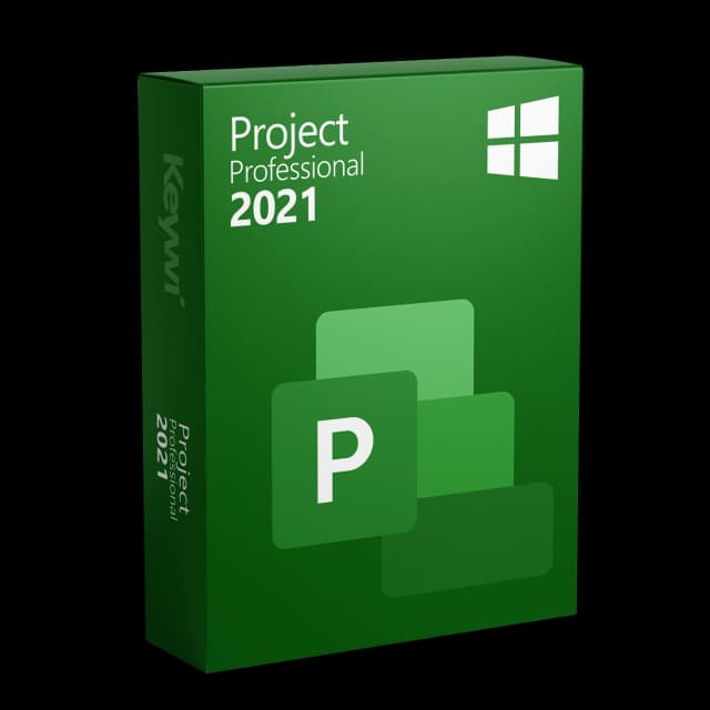 Microsoft Project 2021 Professional